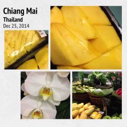 Chiang Mai copy
