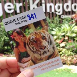 Tiket tiger kingdom copy